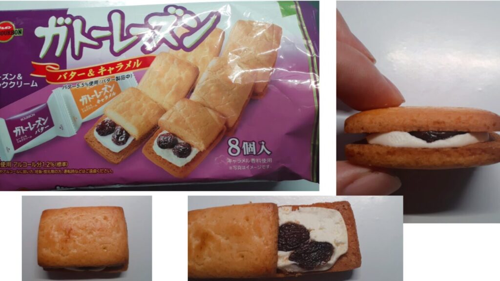 ガトーレーズン